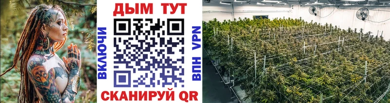 Купить где  Липки  Бошки Шишки планчик 